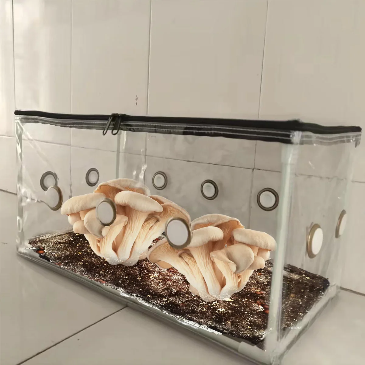 

Mushroom Household Mushroom Growth Kit Reusable Mushroom Tent & Growth Bag with Rubber Stopper, Used for Fresh Air Replacement,