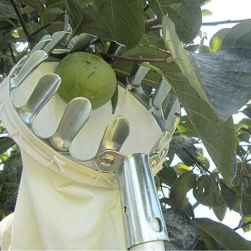 

Metal Fruit Picker Orchard Gardening Apple Peach High Tree Picking Tools Fruit Catcher Collection Pouch Farm Garden Supplies