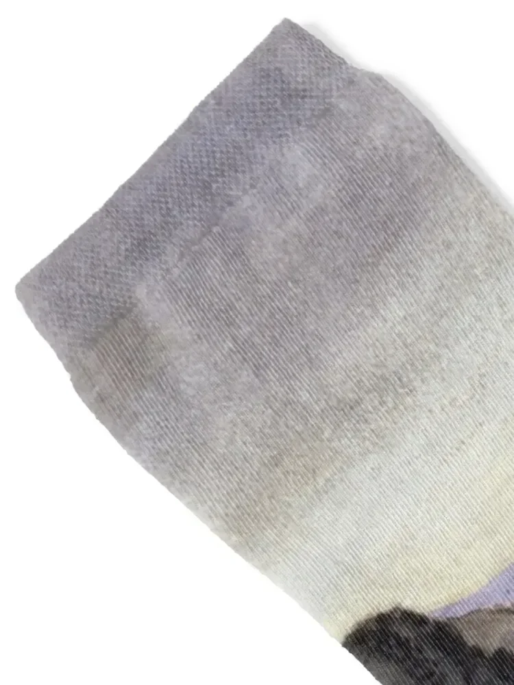 Thirlmere - Paul Nash Socks professional running man Toe sports heated Socks Male Women's