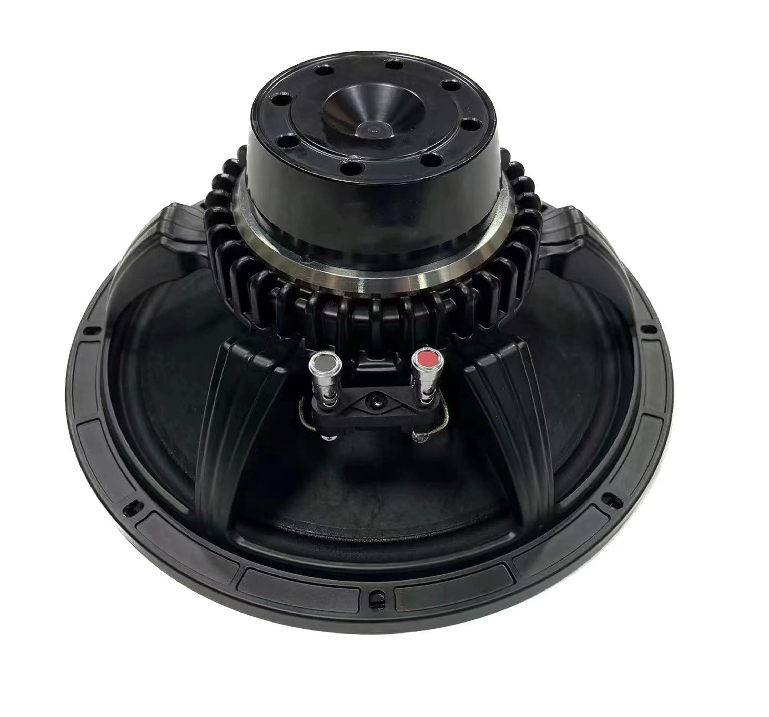 12 Inch Pro Audio D…