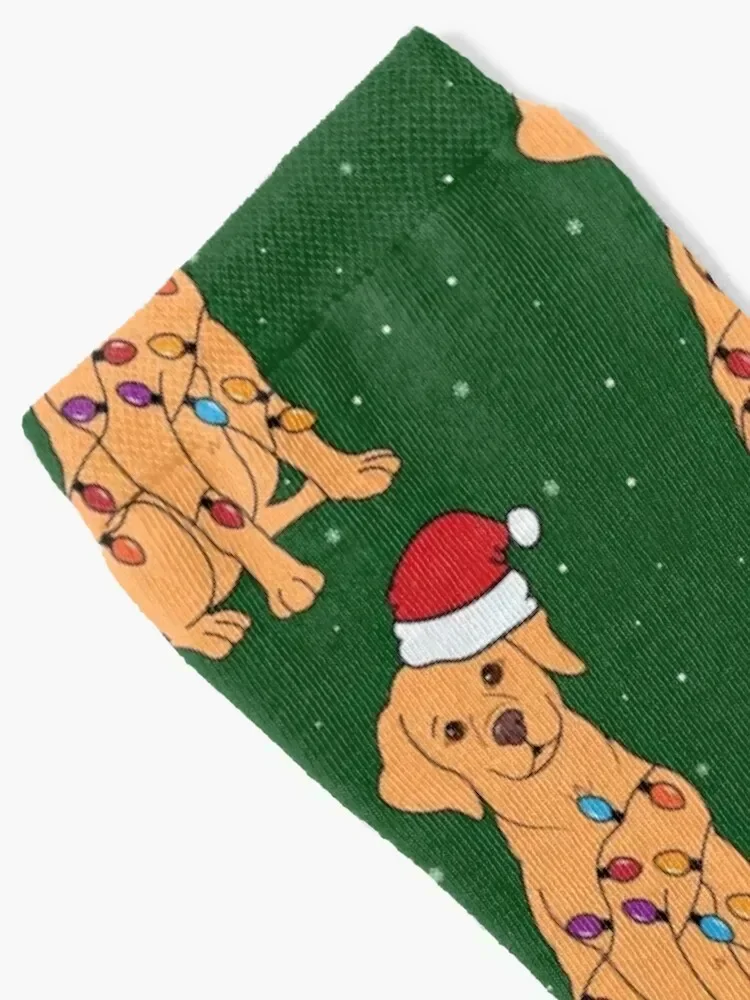 Golden Retriever Pup Christmas Lights Gift Socks floral Soccer Socks Men's Women's