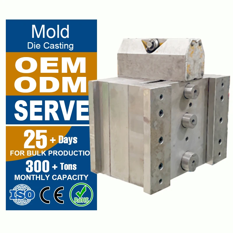 High Precision Mould Manufacturer Making Zinc Alloy Aluminium Die Casting Mold