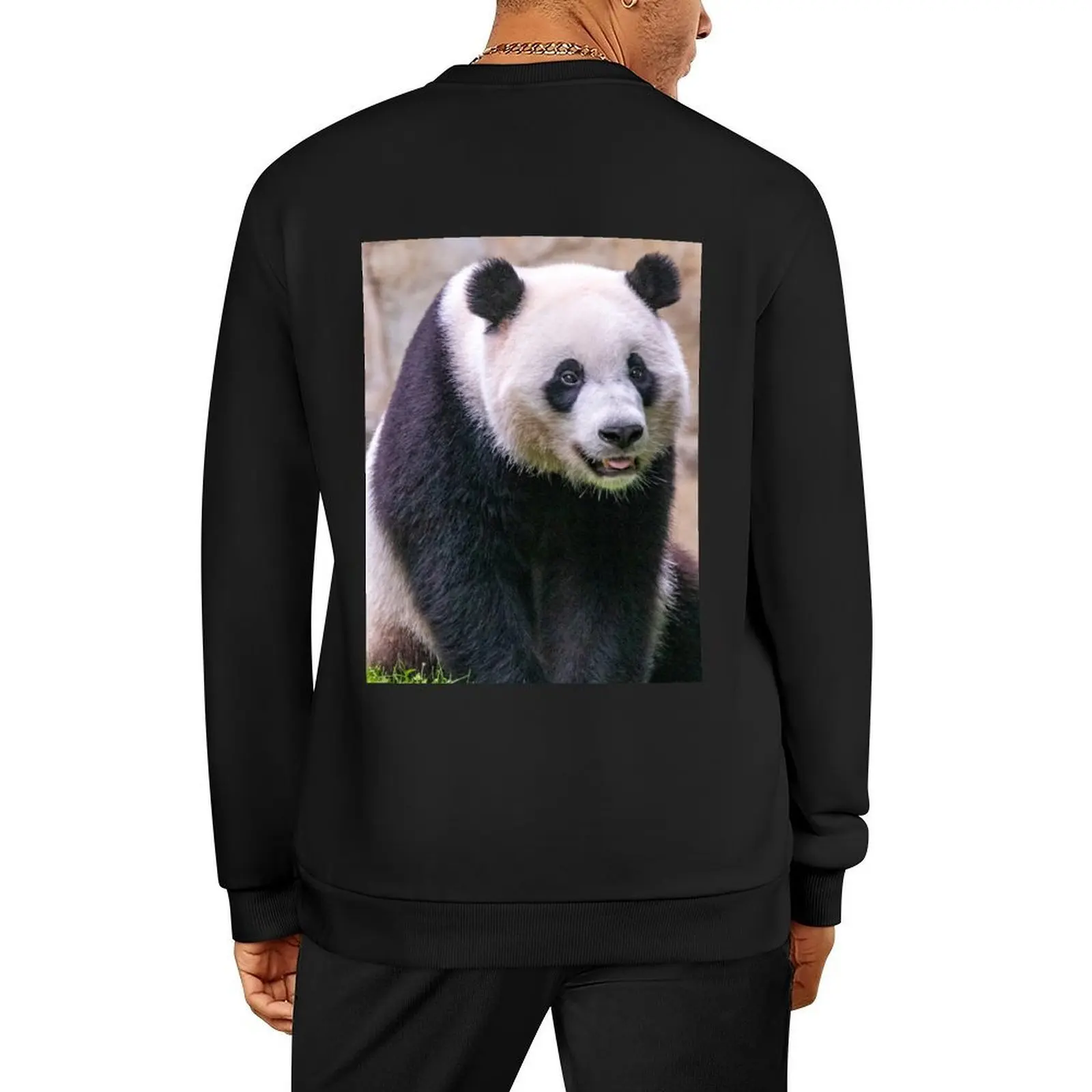 

Giant Panda Xiao Qi Ji at the National Zoo Pullover autumn new products men clothing tracksuit tracksuit men new sweatshirt