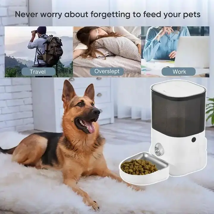 Manufacturer App Remote Control Smart Pet Feeder Cats Dogs Food Dispenser Timing Indoor Dog Feeding Bowl 4L