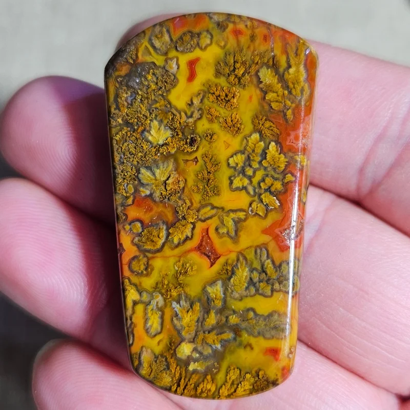 Premium Warring States Red Agate Slice Unique Natural Tree-like Inclusion Flat Back Cabochon Collectible Stone