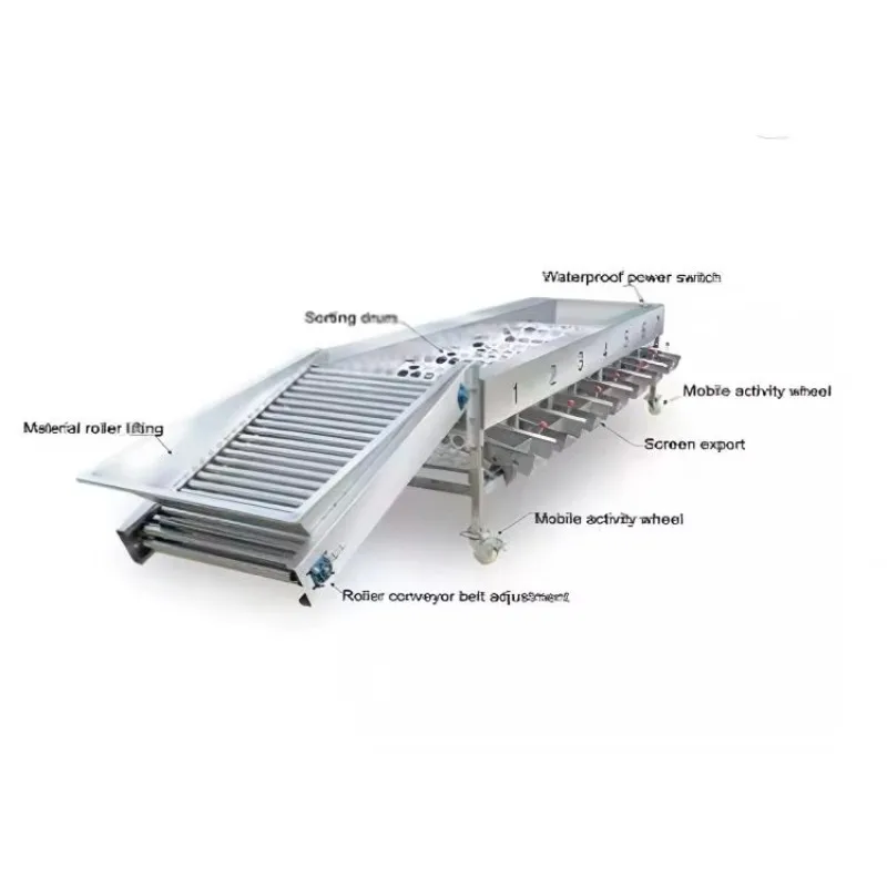 Industrial Tomato Grading Machine/commercial Lemon Orange Fruit Sorter/automatic Garlic Onion Vegetable Grader