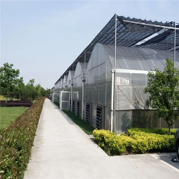 Hot Galvanized Steel Structure Green House Single Span Plastic Film Tunnel Agricultural Greenhouses