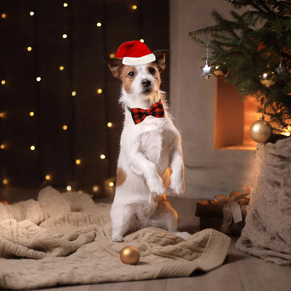 أربطة عنق كلاسيكية منقوشة للكلاب ، أربطة مرنة ، أطواق متحركة للحيوانات الأليفة ، مستلزمات الكلاب ، إكسسوارات العناية الشخصية ، عيد الميلاد ، 5: