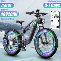 Electric Bicycle 750W Powerful Motor 48V20AH Removable Battery Aldult Electric Bike 26*4.0 Inch Fat Tire All Terrain City E-bike