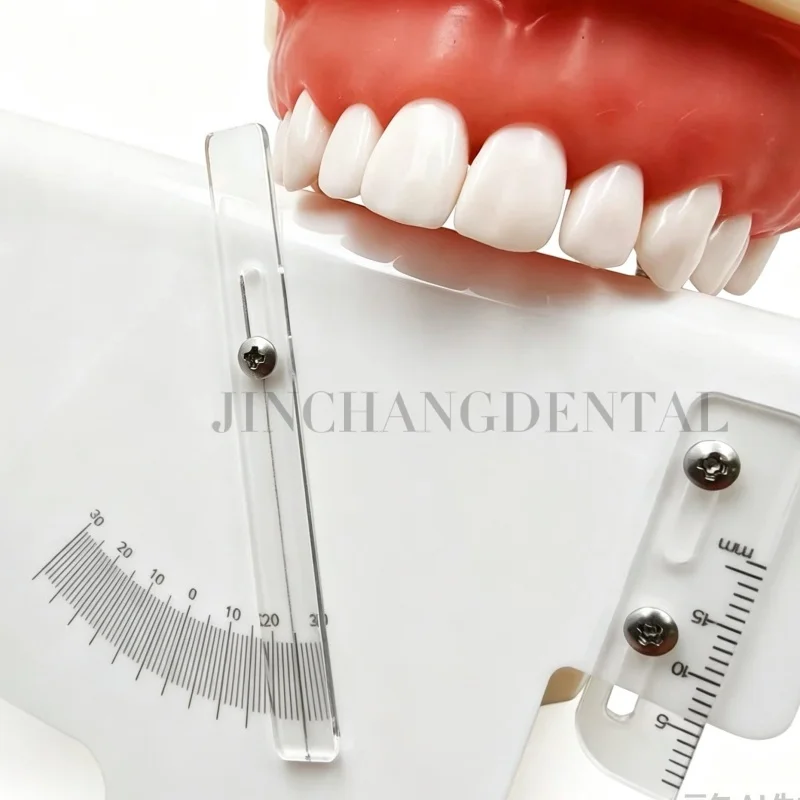 Dental Lab Six Elements Measuring Ruler Molar Measuring Device Combined Protractor and Sliding Ruler Molar Teeth Measuring Ruler