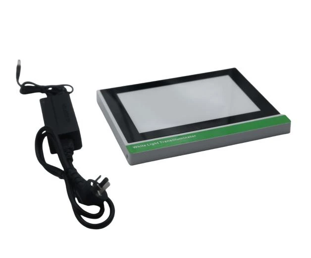 WLT-01A White Light LED Transilluminator for Protein Gel Observation | Low Power & No Heat
