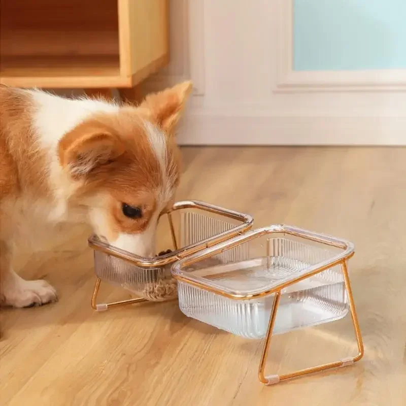 Non-slip Double Cat Bowl Transparent Dog Bowl with Stand Pet Feeding Water Bowl for Dog Cats Food Pet Feeder Bowls Product Stuff