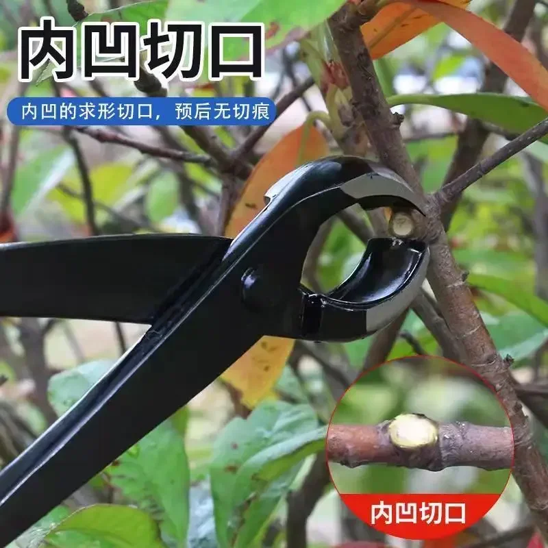 Ball Joint Cutting Bonsai Set Tool, Potted Plant Set Tool, Ball Clamp Flower Art Manufacturing Bonsai Tool