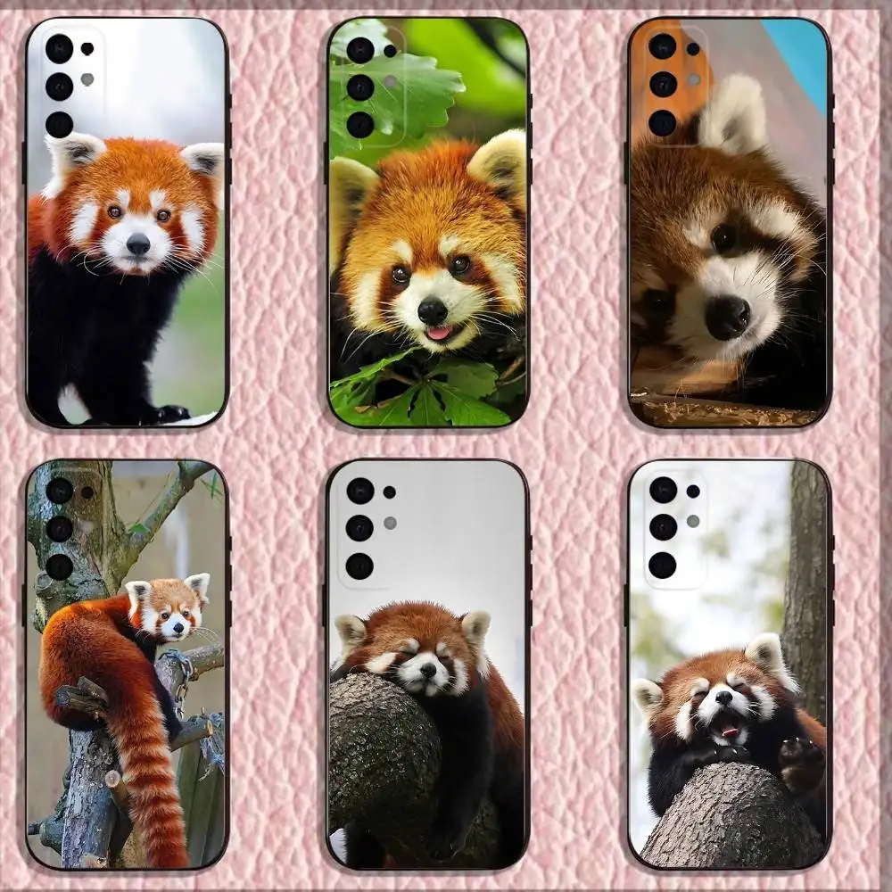 

Cute Red panda Animal Phone Case For Samsung S25,S24,S21,S22,S23,S30,Ultra,S20,Plus,Fe,Lite,Note,10,9,5G Black Cover