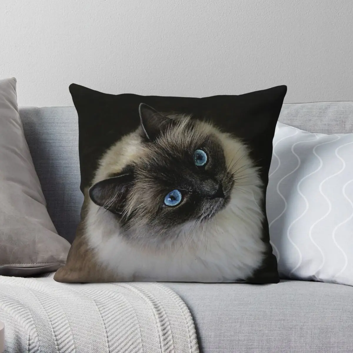 Blue Eyes Cat Square Pillowcase Polyester Linen Velvet Pattern Zip Decorative Throw Pillow Case Room Cushion Cover 18