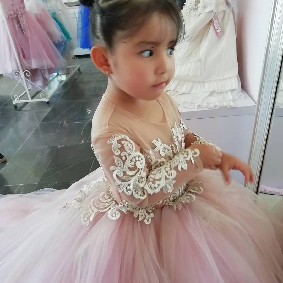 

Flower Girl Dresses Sheer Neck Long Sleeves Lace Pink Little Girl Wedding Dresses Cheap Communion Pageant Gowns