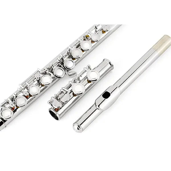 Professional Flute Closed Holes  16 Holes/17 Holes  Silver Plated Flute for Sale Playing Stage Wind Instruments