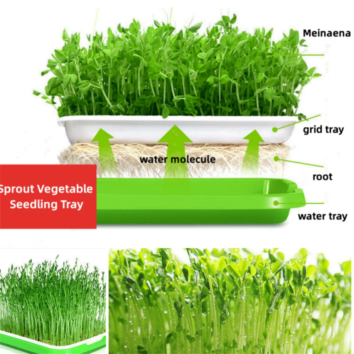 1Pc 2-layers Plant Hydroponics Tray Breathable Durable Garden Balcony Vegetable Wheat Seedling Plate Seed Sprouter 30x23.5x3.5cm