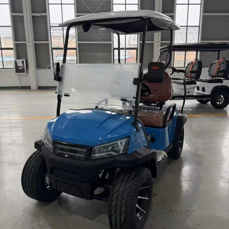Luxury 2-Passenger Electric Golf Cart with 4 kW AC Motor 100-120km Range Comfortable Leather Seats & Alloy Wheels