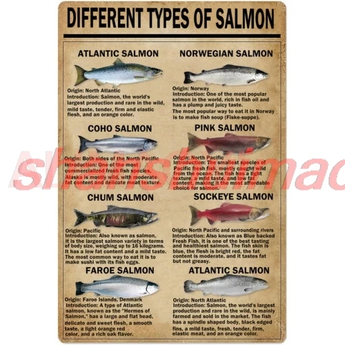 ALI 12x8Inches Retro Tin Signs Vintage Types of Salmon Metal Signs Poster Wall Decor