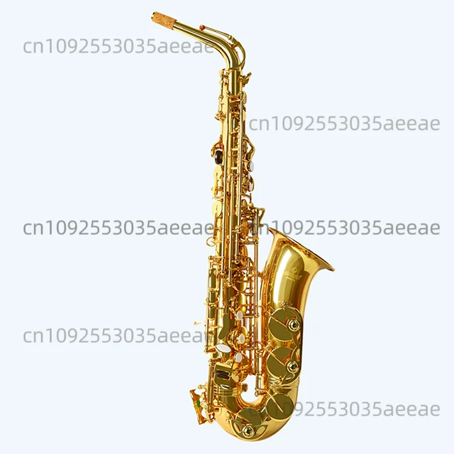 

Gold Lacquered Brass EB Alto Saxophone