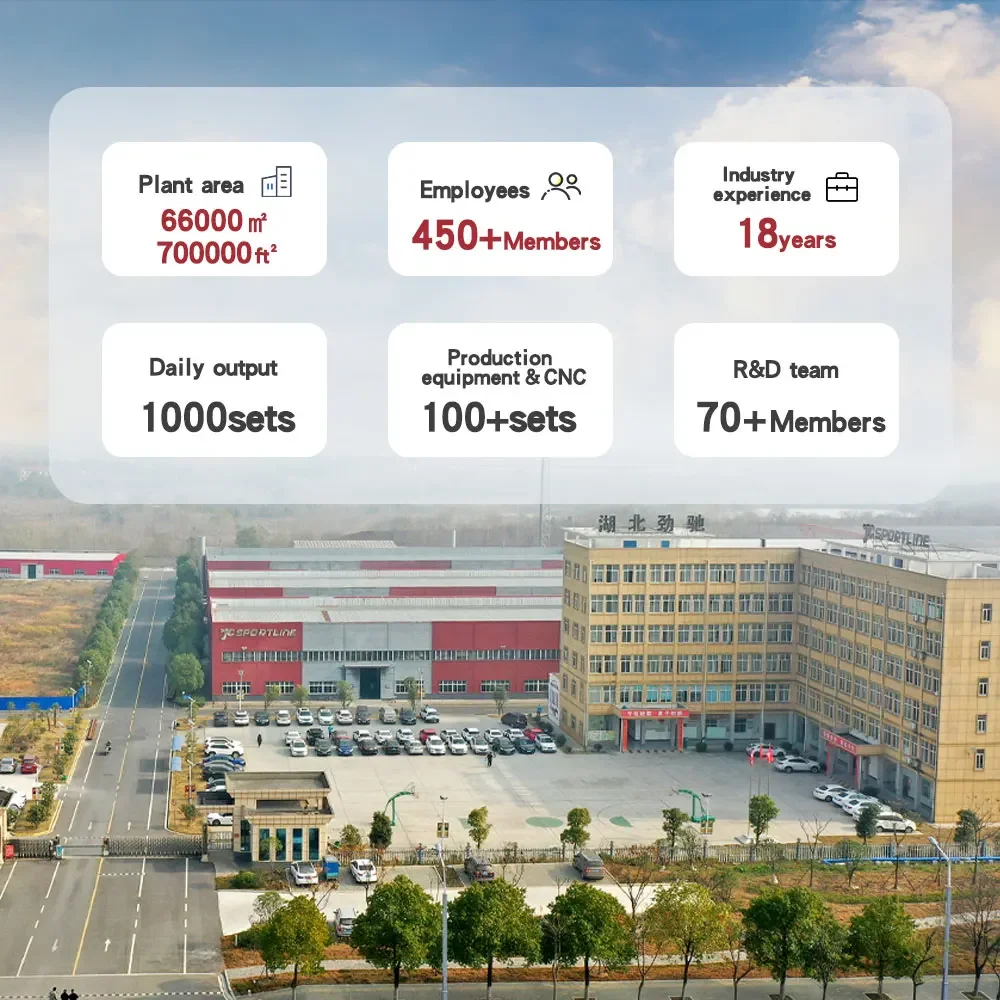 جناح سبويلر لسقف النافذة الخلفية من ألياف الكربون لـ 2024 Mustang S650 GT Dark Horse