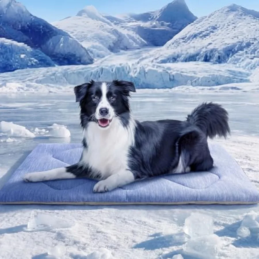 

Dog Cooling Mat, Portable and Durable Cooling Mat for Dogs, Summer Anti-Slip Breathable Cooling Bed for - Dogs 35 60 lbs Husky,