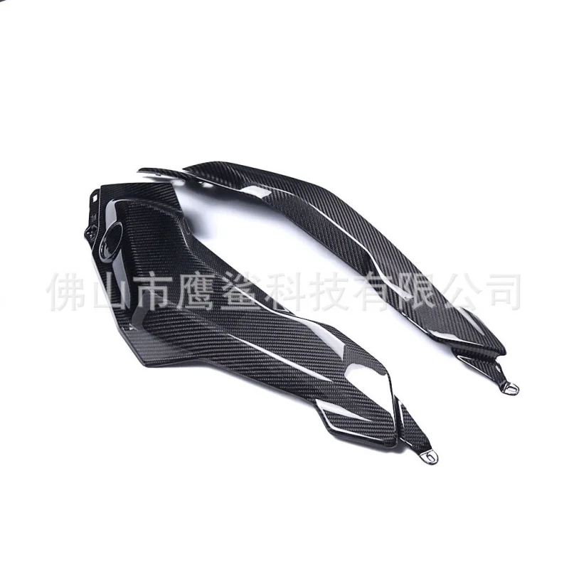 Acessórios de painel lateral de fibra de carbono modificado para motocicleta R1300GS Waterbird