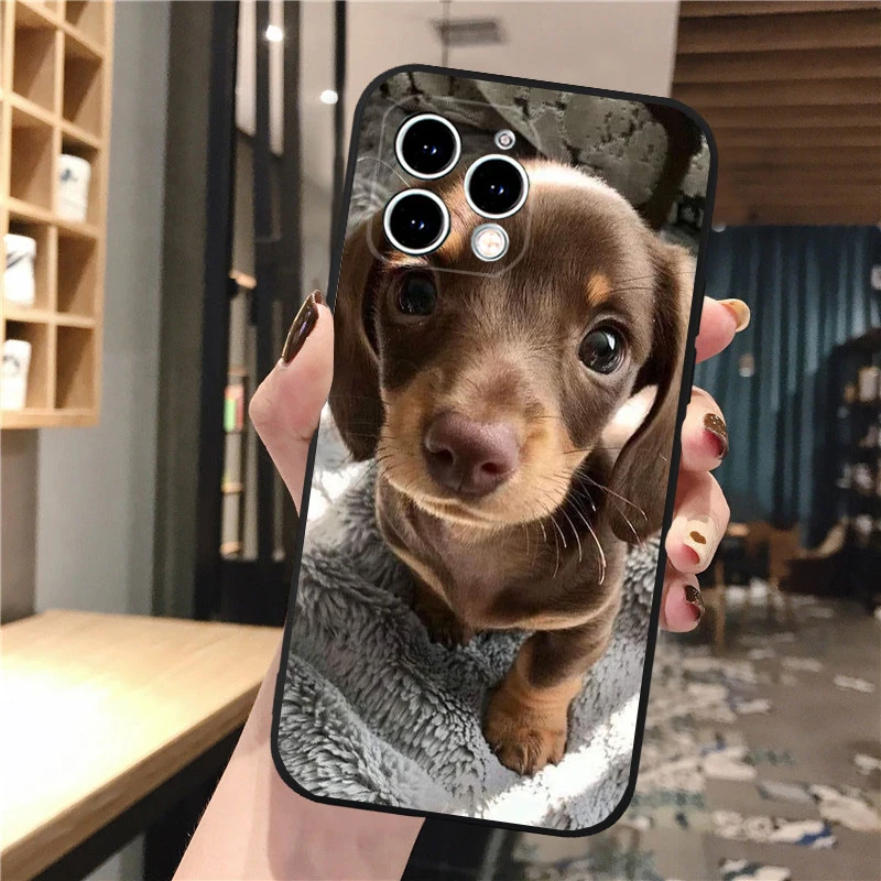

Phone Case Carcasa Funda For iPhone 17 Pro Max 17 Air 16 15 14 13 Pro Max 15 16 Pro 15Plus Dachshund Dog