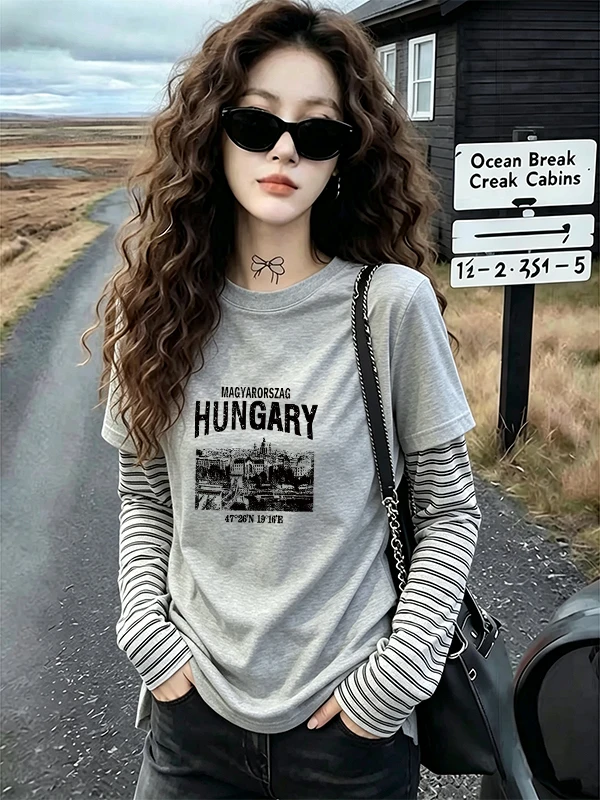 Early Autumn Grey Stripe Color Block Long Sleeve T-Shirt Women's Simple Special Feeling Commute Style Loose Fit Polyester