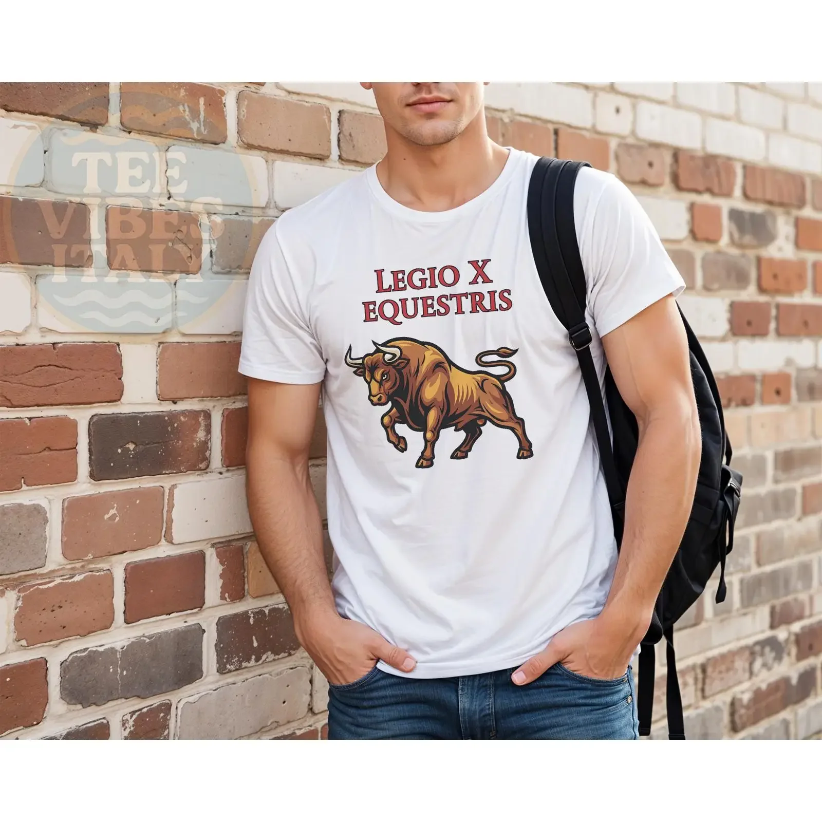 Roman History Legio X Equestris Bull Julius Caesar Legion T Shirt Cotton for Buffs Students  vintage Washed Slightly Stylish