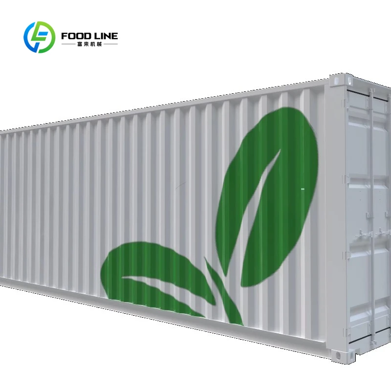 Customized Fully Automated Vertical Hydroponic Container Farming Turnkey Plant Factory