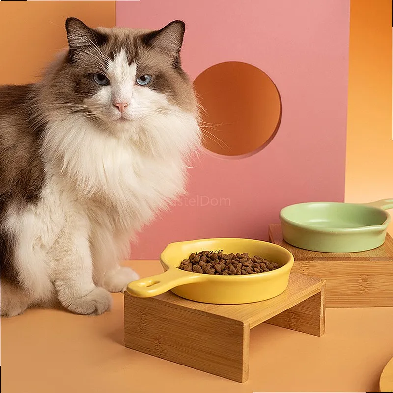 Flat Cat Bowl Ceramic Slow Feeder Single Handle Water Bowl Anti-Black Chin Can Food Bowl Pet
