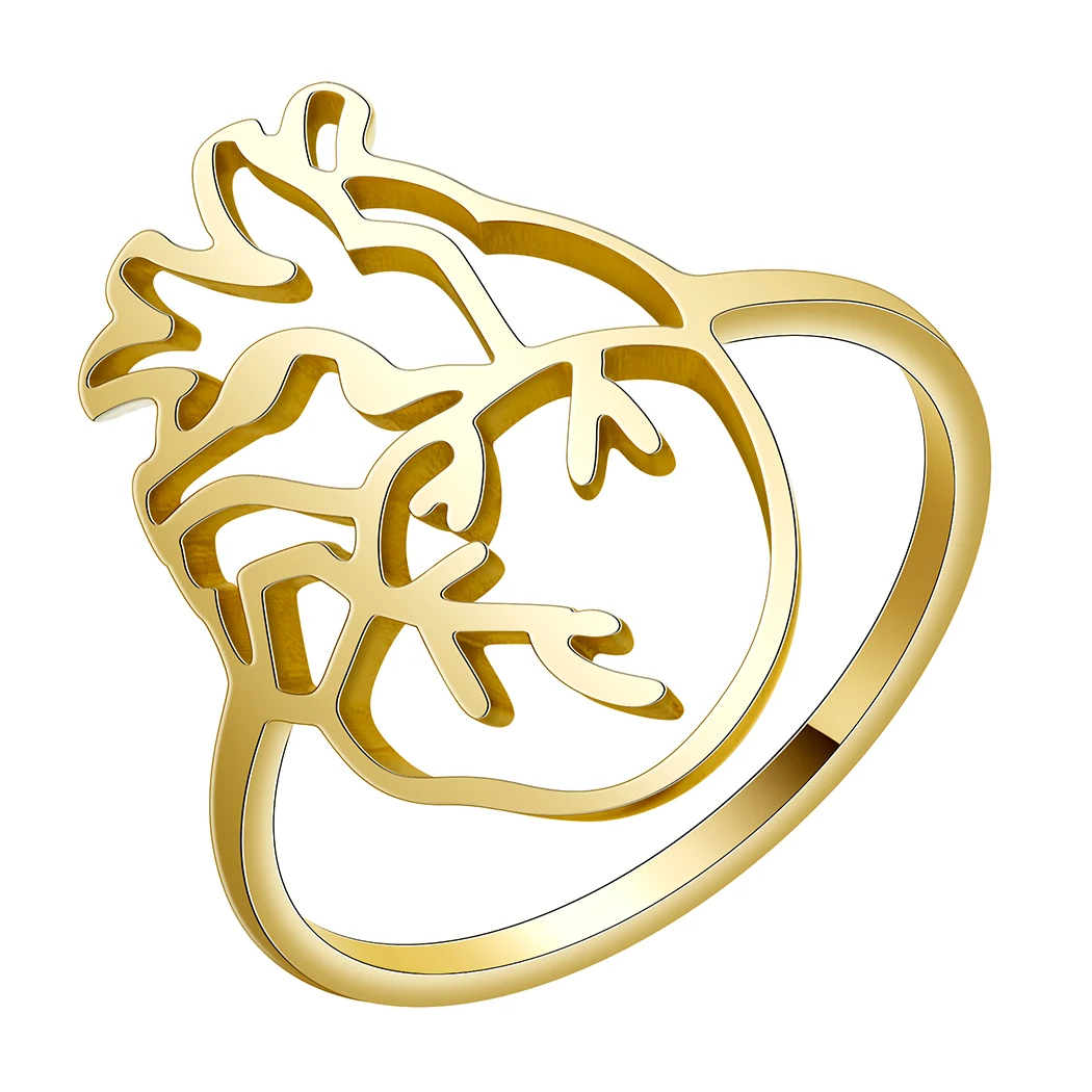 

Stainless Steel Anatomical Heart Ring Anatomy Jewelry Medical Ring Personality Gifts for Women