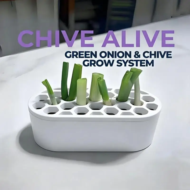 Water Reservoir Base Hydroponic Planting Pots Breathable Plastic Plant Containers Multifunctional Nursery Pots Planting Basket