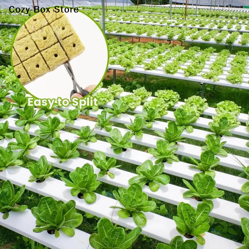 [ZY]50Pcs Plant Root Rock Wool For Gardening Starter Cubes Plugs For Hydroponics Seed Cuttings Propagation Tool[ZY]
