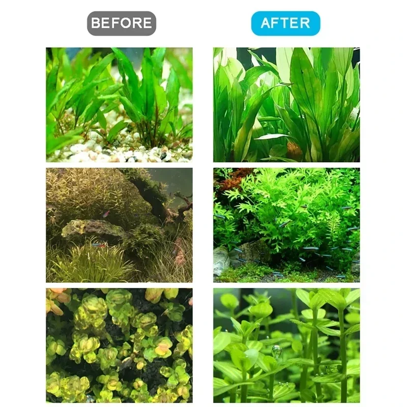 Aquarium CO2 Genera…