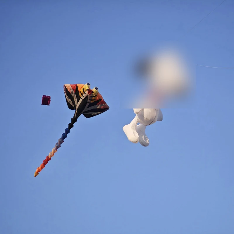 9KM 3,5 m pájaro y perro cometa línea colgante de lavandería suave inflable espectáculo cometa para Festival 30D tela de nailon Ripstop