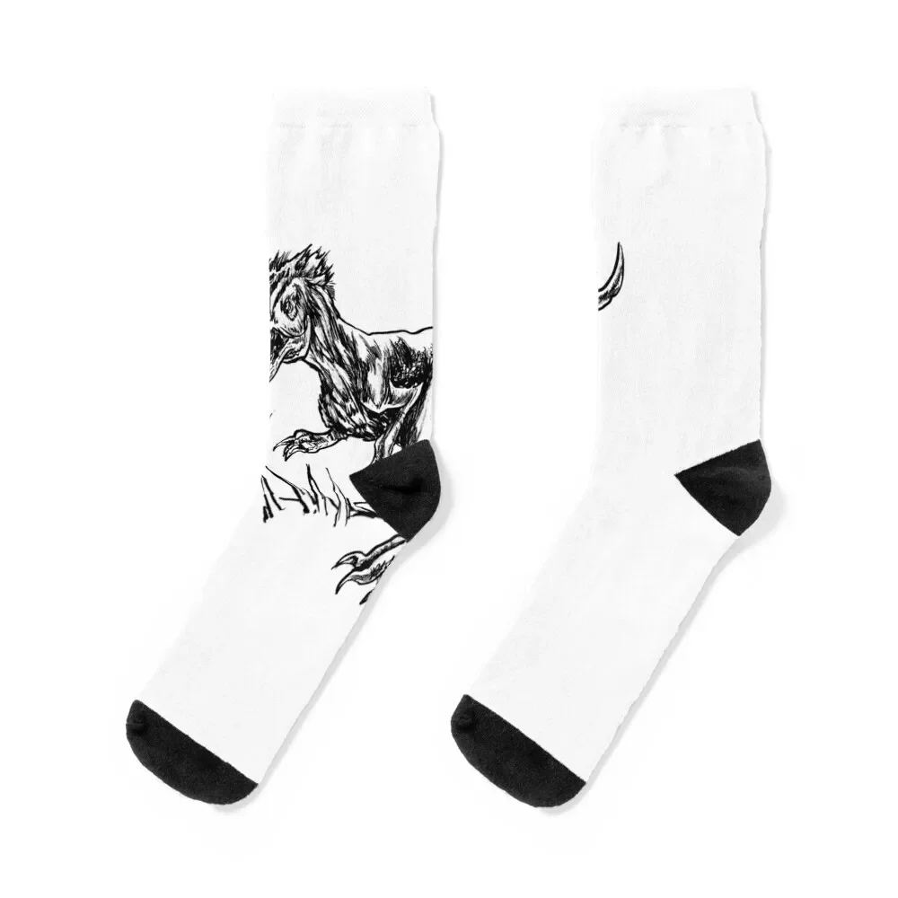 velociraptor Socks funny gifts kawaii soccer anti-slip Mens Socks Women's