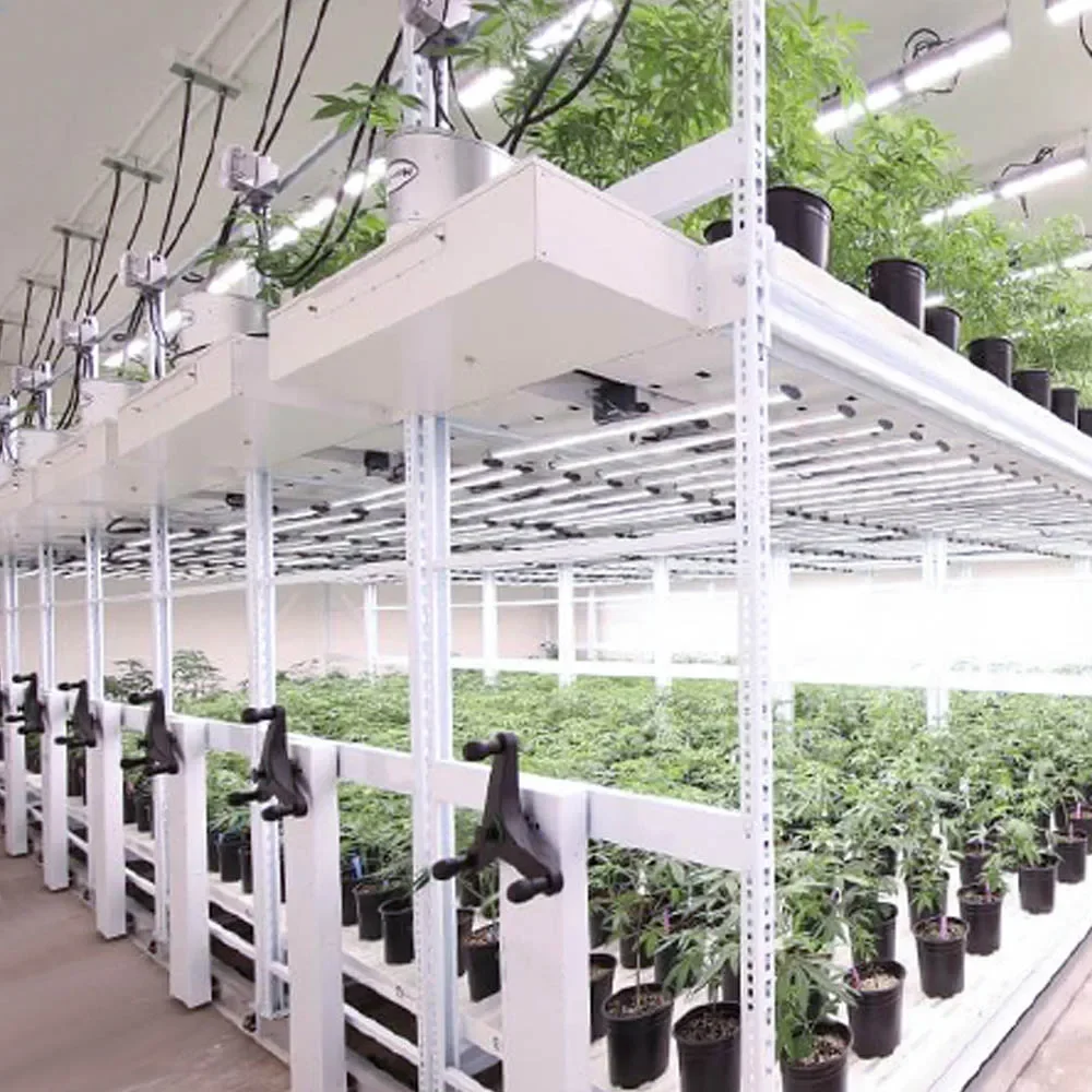 Hydroponics Multi Layers Vertical Farming Rolling Bench Grow Rack