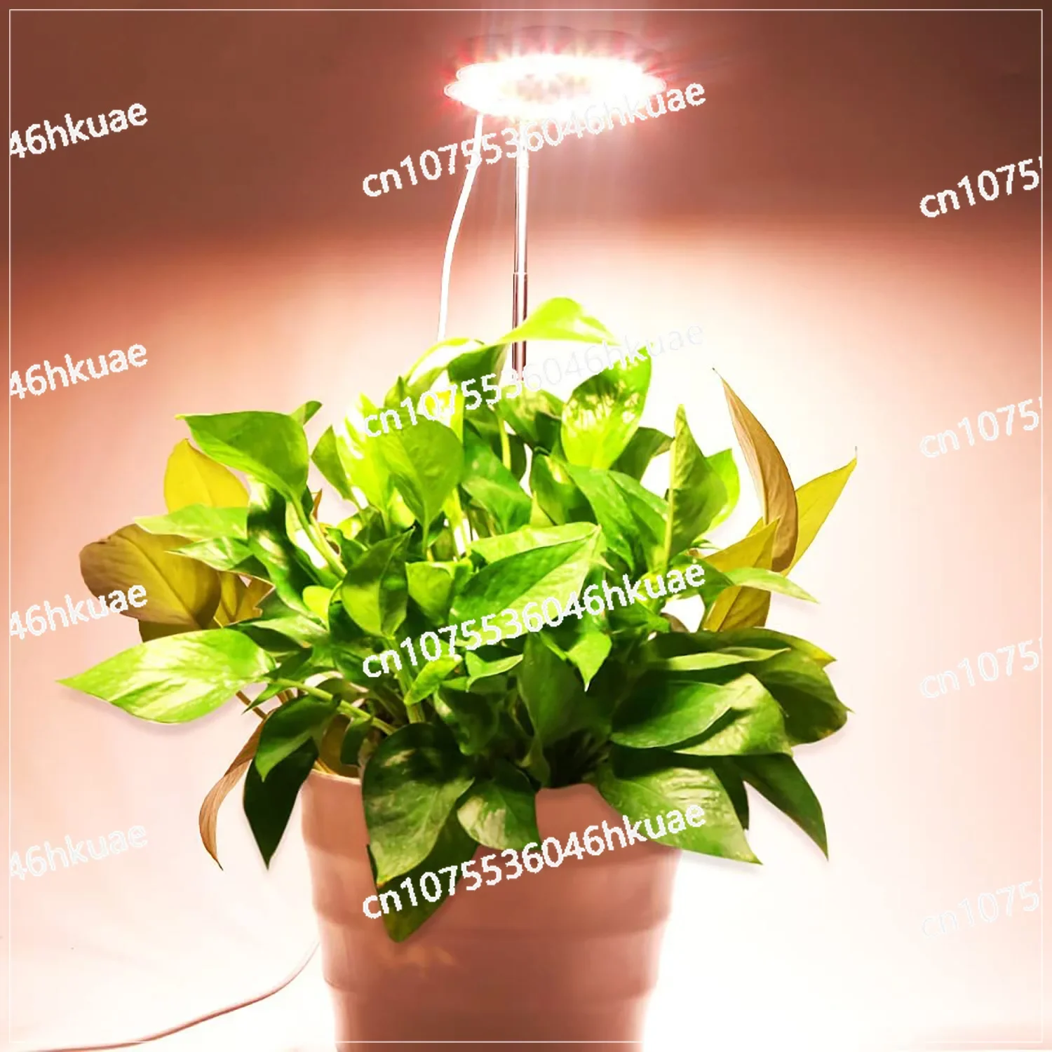 Indoor LED Plant Light Free Height Adjustment 3 Modes Brightness Adjustment Filling Light Automatic Timing