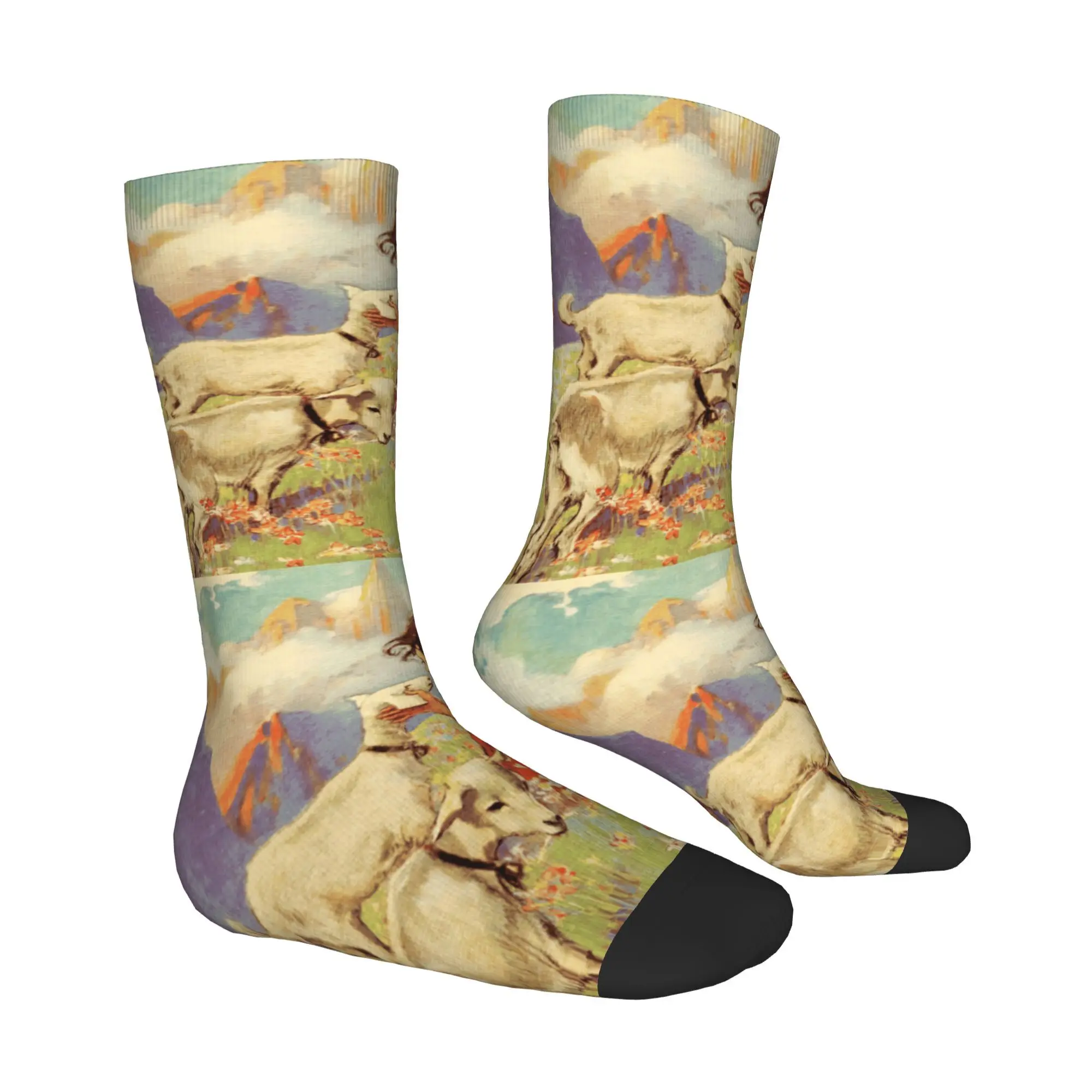 جوارب ريترو هايدي كارتونية للرجال للجنسين هدية جورب كريزي كرو