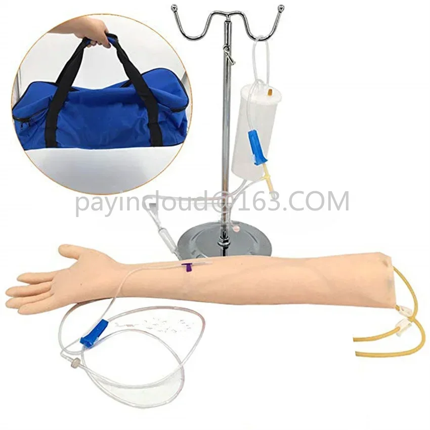 

Advanced arm Anatomical Phlebotomy Venipuncture Practice Model anatomyInjection practice Medical Simulator Nurse Training kit