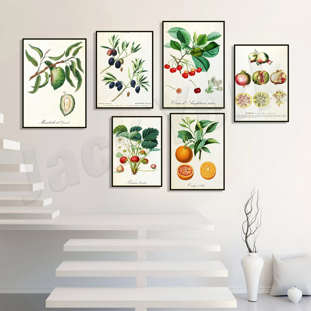 Vintage fruit botanical poster, orange citrus, pear, strawberry, almond, cherry, olive, pomegranate, botanical fruit tree print