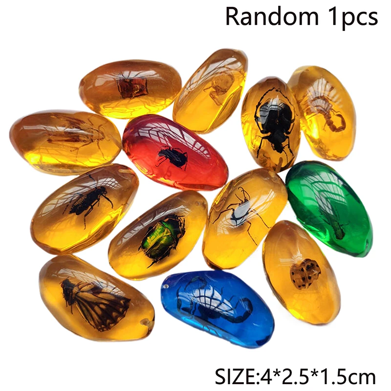 1PC Insects Amber Gemstone Scorpion Natural And Mineral Stones Home Decor Insects Amber Gemstone DIY