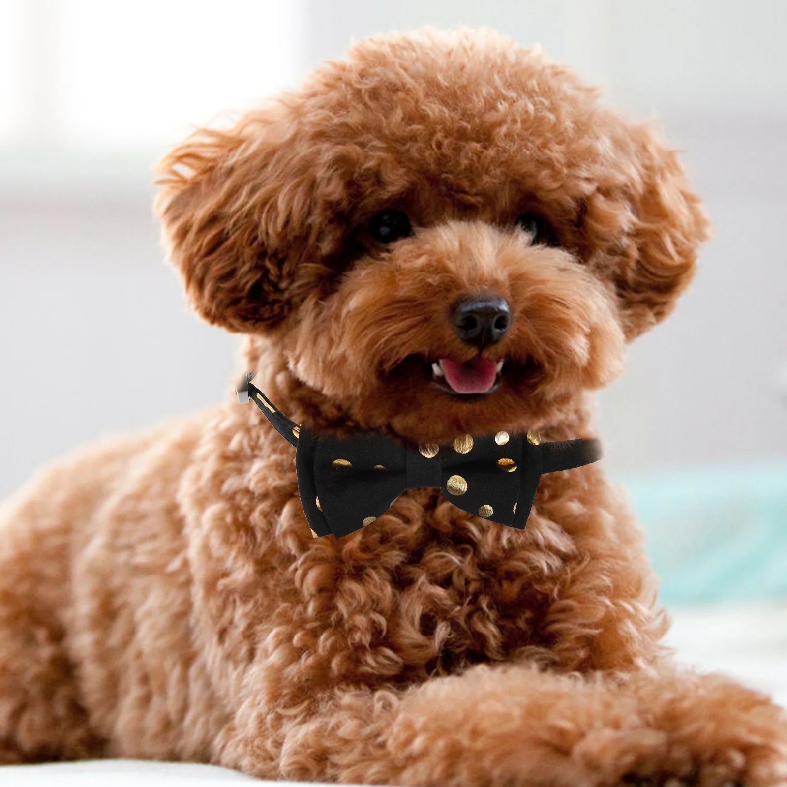 

Butterfly Bow Tie Cat Collar Adjustable Comfortable Pet Collar Washable Decorative Bell Design Party Ornament For Dog Cat