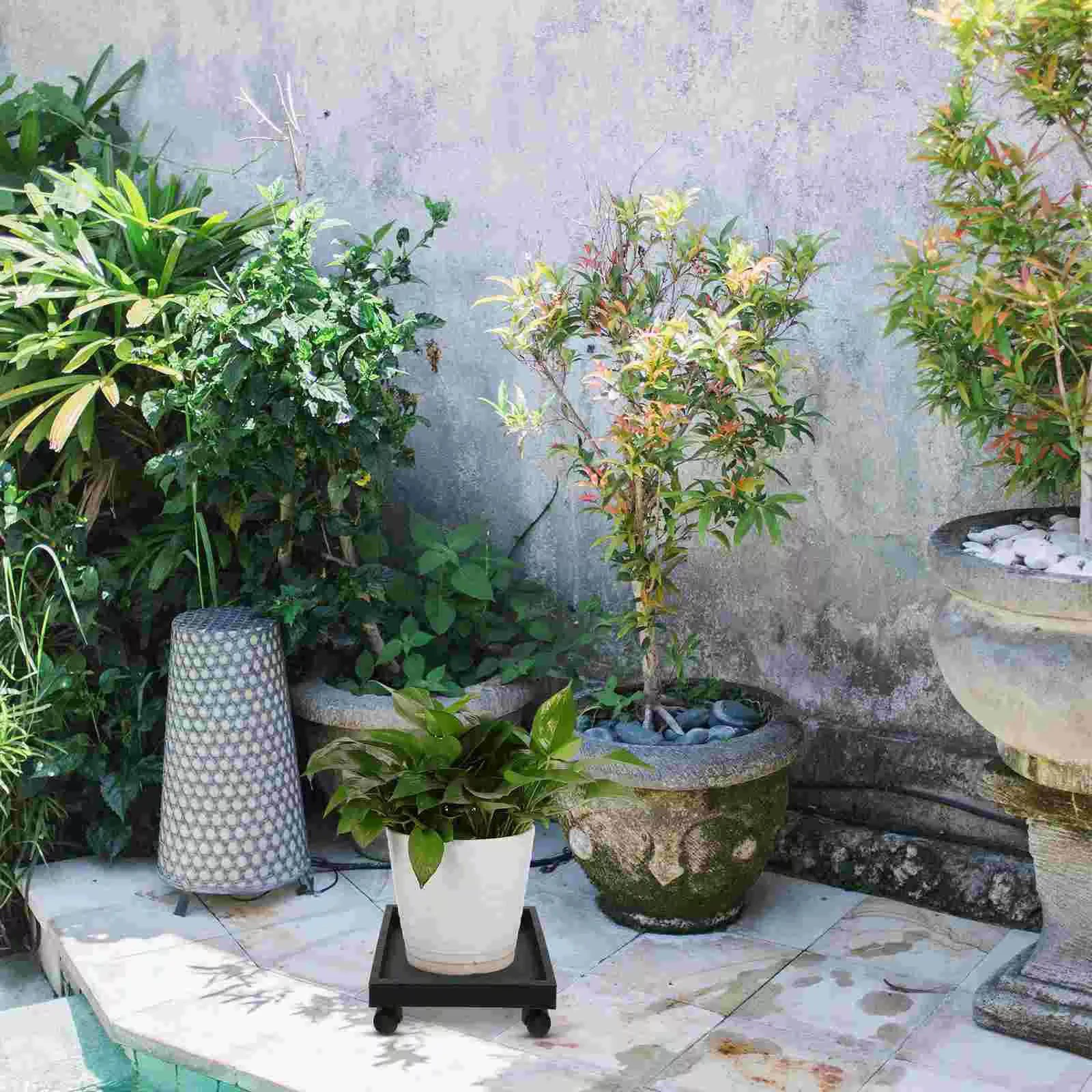 Thumbnail 3 - #16 Best Garden Pot Saucers & Trays to Buy In 2026