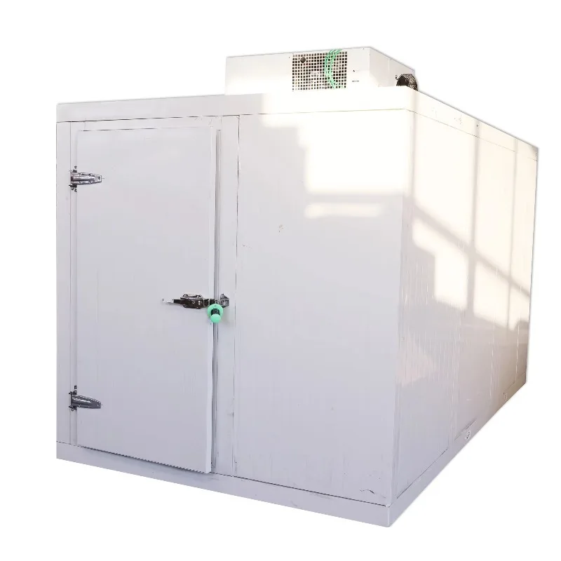 10ft 20ft 30ft Walk in Cool Room Refrigerated Cold Storage Room