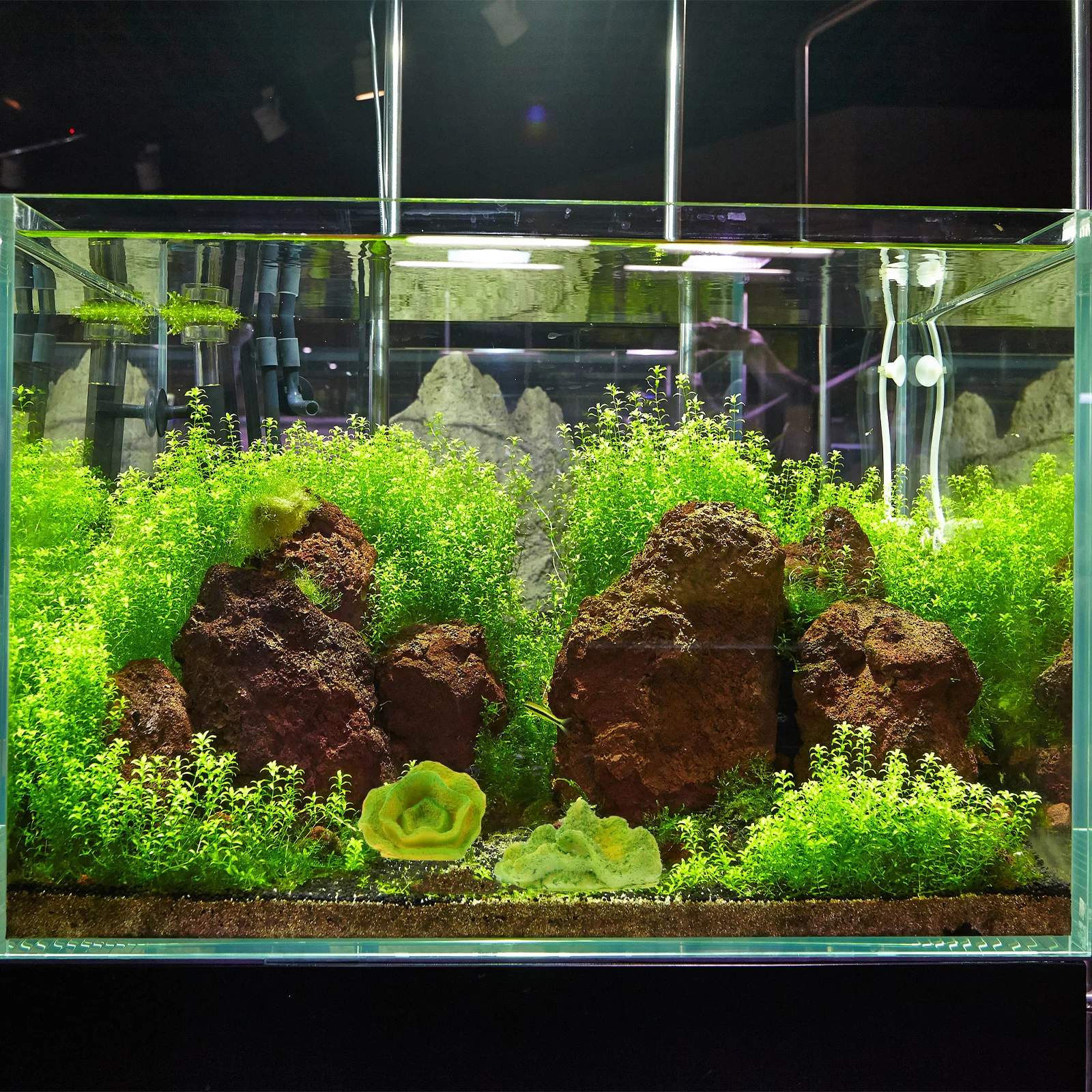 

2Pcs Simulated Coral Aquarium Decoration Fish Shrimp Shelter Resin Ornament Fish Tank Coral Decor Underwater Habitat