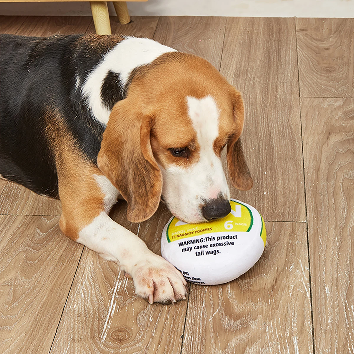 Zen Pupper Deckies Parodie Hundespielzeug – Plüsch quietschendes und knuspriges lustiges Hundespielzeug – Sabbern Mint – Detail 14